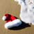 Christmas on the Beach